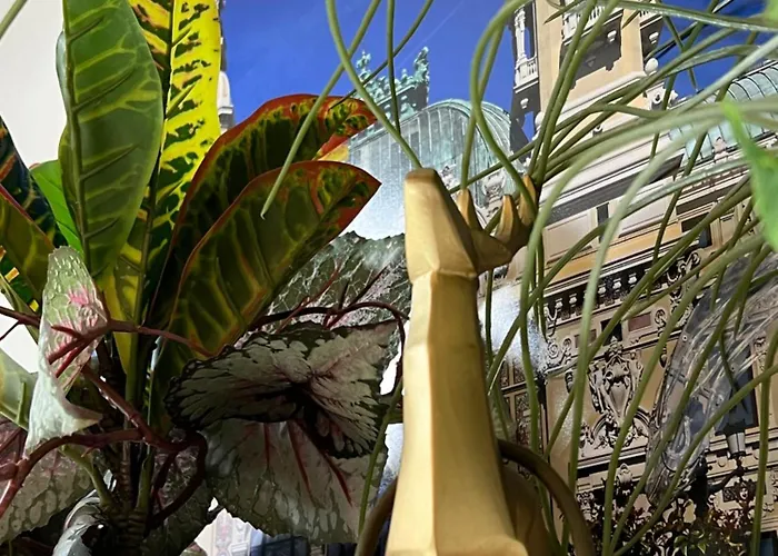 Daire Greg's House - Enjoy My Dolce Grimaldi (Liguria)